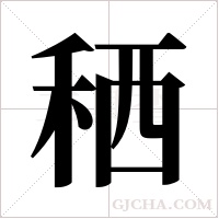 ?字组词