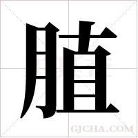 ?字组词