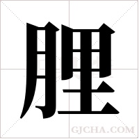 ?字组词