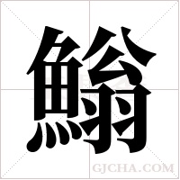 ?字组词