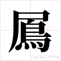 ?字组词