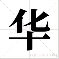 华字组词