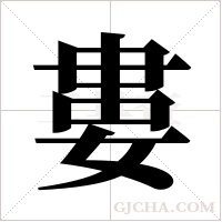 婁字组词