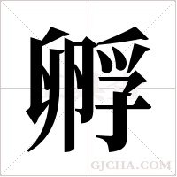 孵字组词