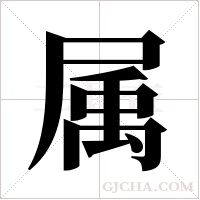 属字组词