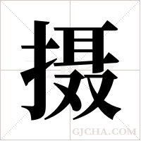 摄字组词