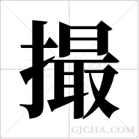 撮字组词