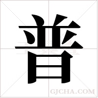 普字组词