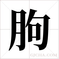 朐字组词