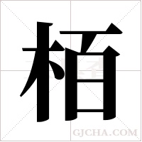 栢字组词