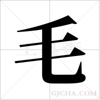 毛字组词
