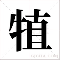 犆字组词