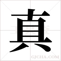 真字组词