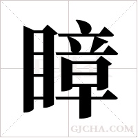 瞕字组词