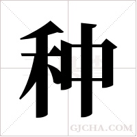 种字组词