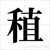 稙字组词