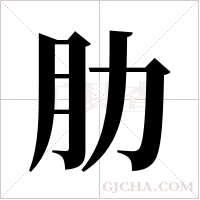 肋字组词