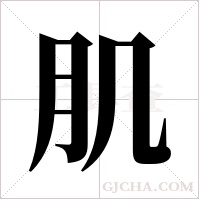 肌字组词