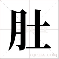 肚字组词