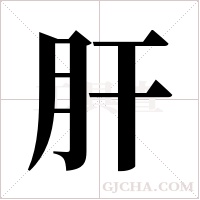 肝字组词