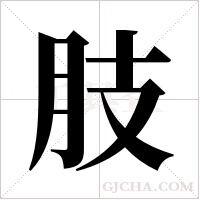 肢字组词