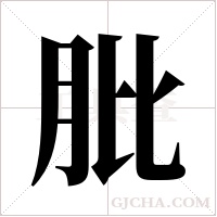 肶字组词