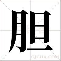 胆字组词