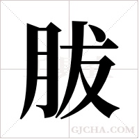 胈字组词