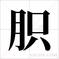 胑字组词