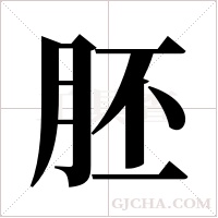 胚字组词