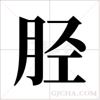 胫字组词