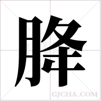 胮字组词