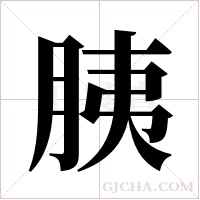 胰字组词