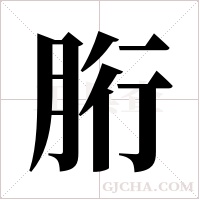 胻字组词