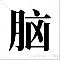 脑字组词