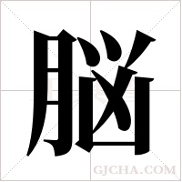 脳字组词