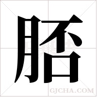 脴字组词