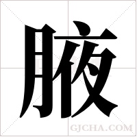 腋字组词