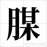 腜字组词