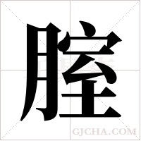 腟字组词