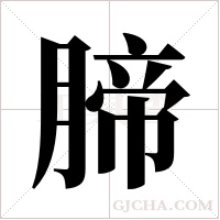 腣字组词