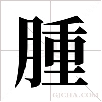 腫字组词