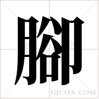 腳字组词