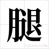 腿字组词