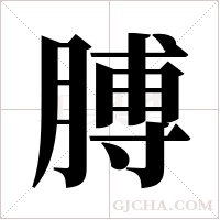 膊字组词