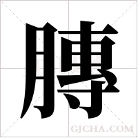 膞字组词