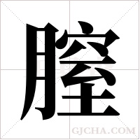 膣字组词