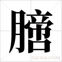 膪字组词