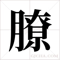 膫字组词