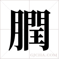 膶字组词